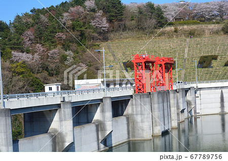 春の十王ダム　　＃36 67789756