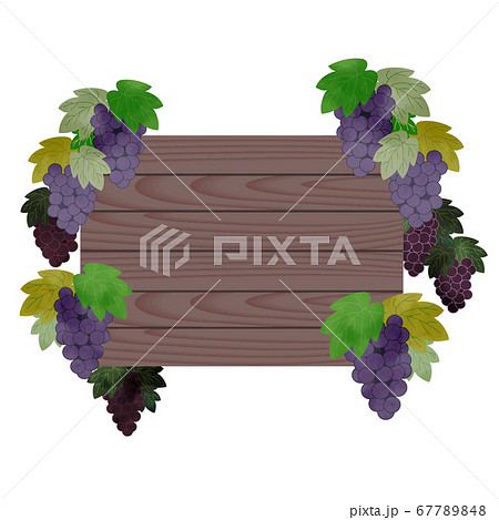 葡萄のある木の看板フレームのイラスト素材