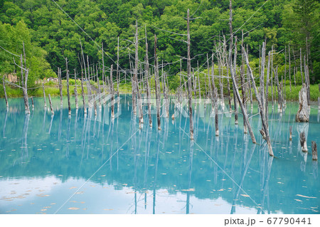 青い池 67790441