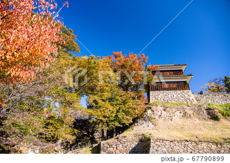 《長野県》上田城址公園　西櫓　秋の紅葉 67790899
