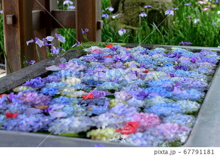 宮地嶽神社の花手水 67791181