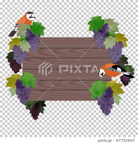 カケスが止まる葡萄畑の木の看板 カケスが止まる葡萄畑の木の看板 67792697