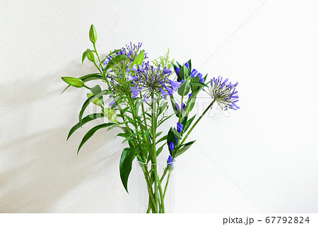 アガパンサスの花 花瓶の写真素材