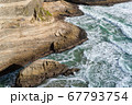 波 67793754