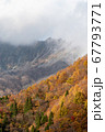 山 67793771