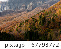大山 67793772