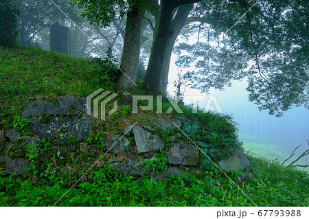 宇陀松山城の夏（奈良県宇陀市） 67793988