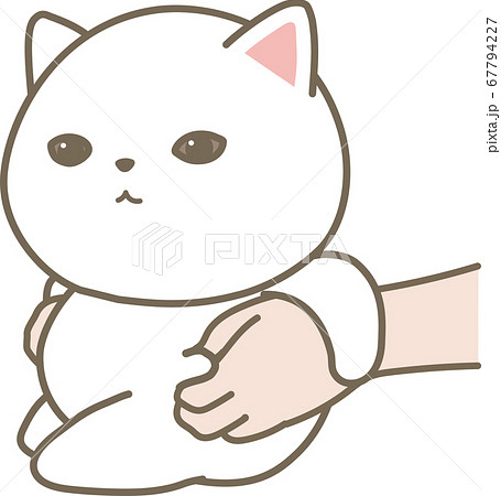 猫の健康管理 贅肉をつまんでチェックのイラスト素材 [67794227] - PIXTA