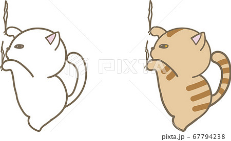 爪とぎをする白猫と茶トラ猫 67794238