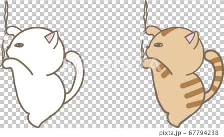 爪とぎをする白猫と茶トラ猫 67794238