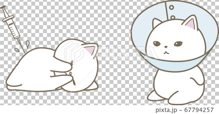 Vaccinated cats and Elizabeth collard cats 67794257