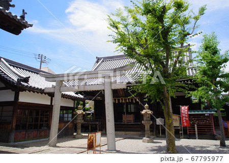 城下町の風情を残す尼崎寺町の本興寺 城下町の風情を残す尼崎寺町の本興寺 67795977