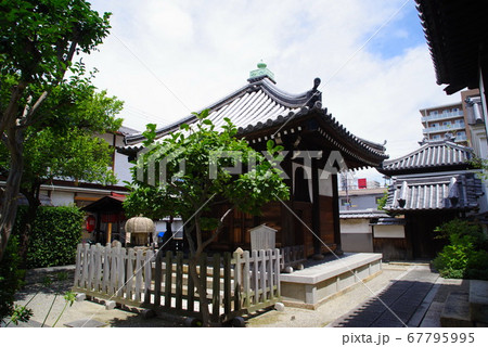 城下町の風情を残す尼崎寺町の本興寺 67795995