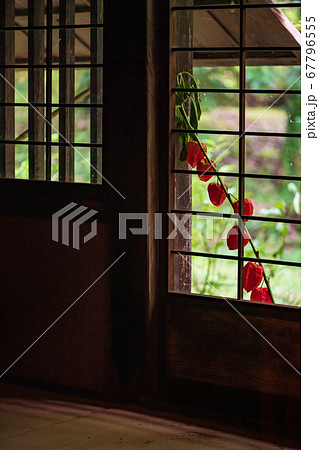 昔懐かしい古民家にほうずきのある風景 67796555