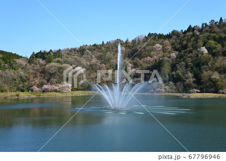 春の十王ダム　　＃56 67796946