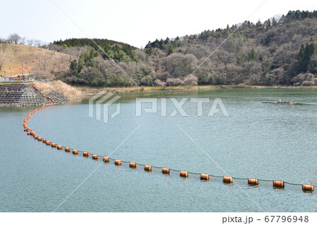 春の十王ダム　　＃54 67796948