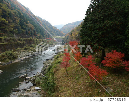 嵐山 嵐山 67798316