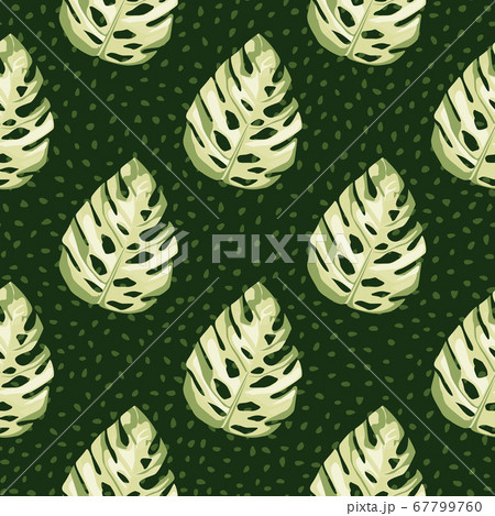 Geometric botanic seamless pattern with monstera 67799760