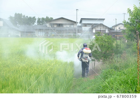 農薬散布の風景 農薬散布の風景 67800359