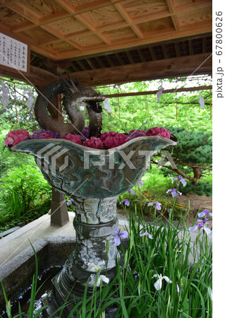 宮地嶽神社の花手水 67800626