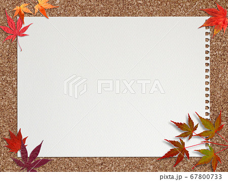 真っ赤なモミジが重なる、コルクボードと1枚のスケッチブック。 67800733