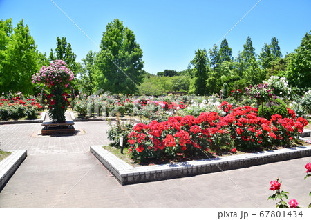 庄堺公園 67801434