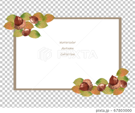 Watercolor acorn frame Watercolor acorn frame 67803000