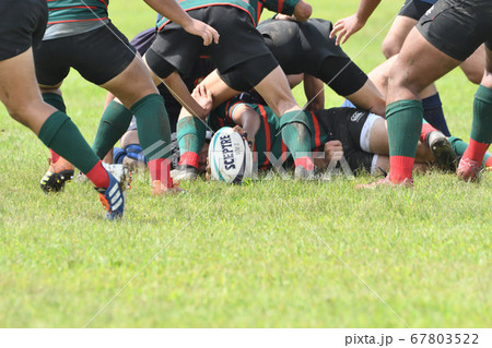 ラグビー 67803522