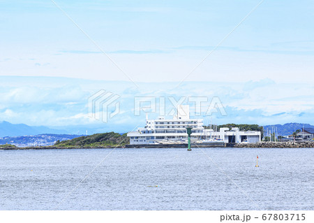 湘南の三浦半島の入江小和田湾の夏(横須賀市長井) 湘南の三浦半島の入江小和田湾の夏(横須賀市長井) 67803715