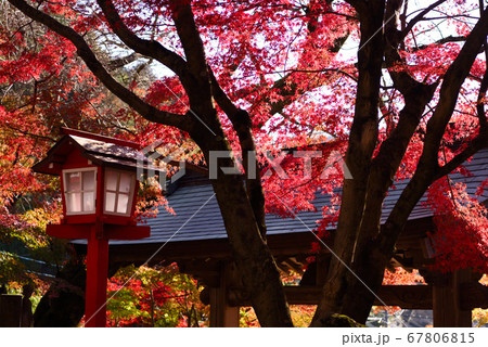 明石寺の紅葉 明石寺の紅葉 67806815