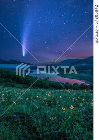 ネオワイズ彗星とノゾリキスゲ 67806842