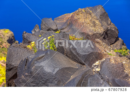 Volcanic stone rock and flowers Volcanic stone rock and flowers 67807928
