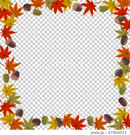 秋らしいどんぐりと紅葉の正方形フレームのイラスト素材
