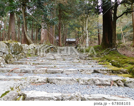 滋賀県　百済寺の階段 67808103
