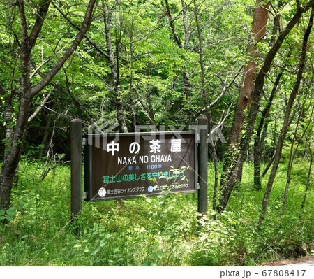 富士山　吉田口登山道　遊歩道　散策 67808417