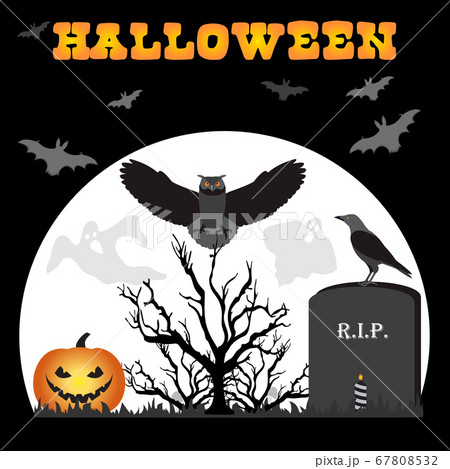 Vector Halloween Party Festive October Horror Bat Vector Halloween Party Festive October Horror Bat 67808532