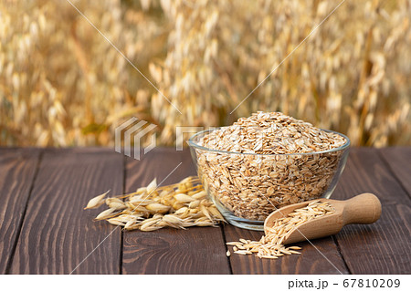 oat flakes and field 67810209
