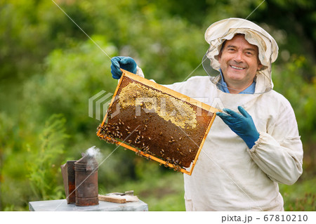 Beekeeper at apiary Beekeeper at apiary 67810210