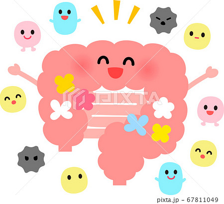 Cute Character Illustration Of Intestinal Flora Stock Illustration