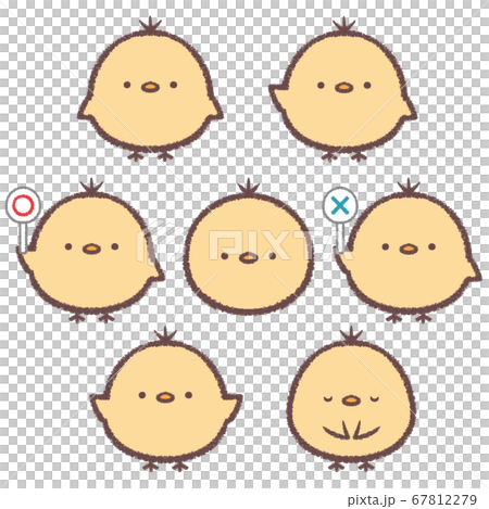 小雞變異集 67812279