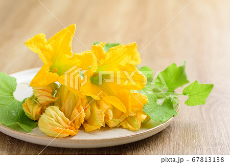Yellow pumpkin flowers on plate Yellow pumpkin flowers on plate 67813138