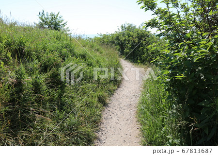 カナダのトロント近郊の五大湖ほとりの公園、ハンバーグベイ　パーク　イースト 67813687