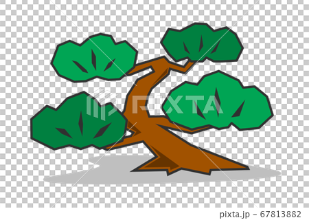Pine tree illustration Pine tree illustration 67813882
