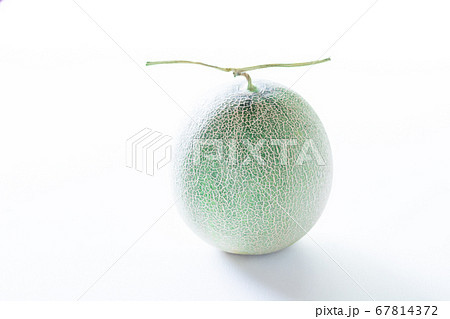 ネットメロン・アンデス 67814372