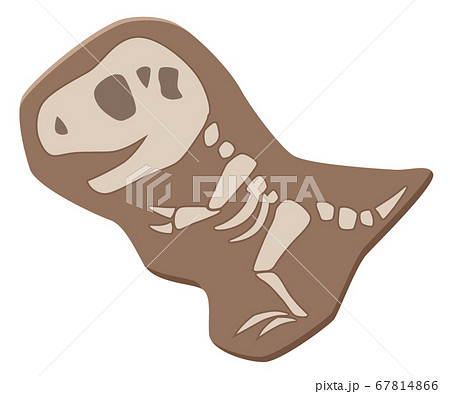 かわいい恐竜の化石のイラスト ティラノサウルス ティーレックスのイラスト素材