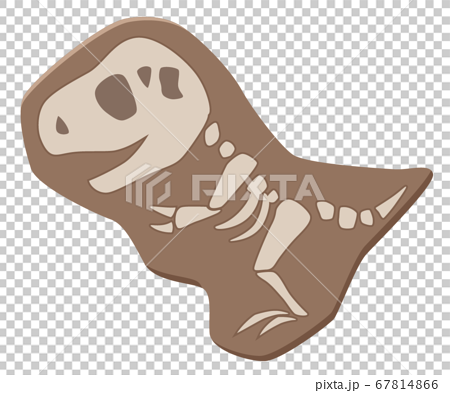 かわいい恐竜の化石のイラスト ティラノサウルス ティーレックスのイラスト素材 67814866 Pixta