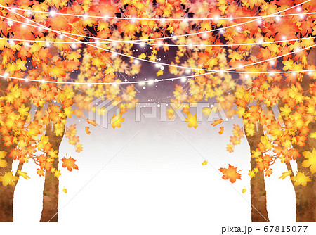 秋 落ち葉とイルミネーションの夜の風景のイラスト素材