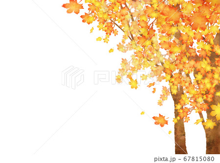 秋 落ち葉の風景 右のイラスト素材