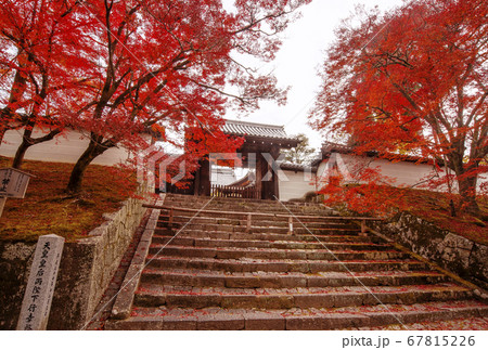 曼殊院門跡　京都の紅葉の名所　秋の京都観光スポット 67815226