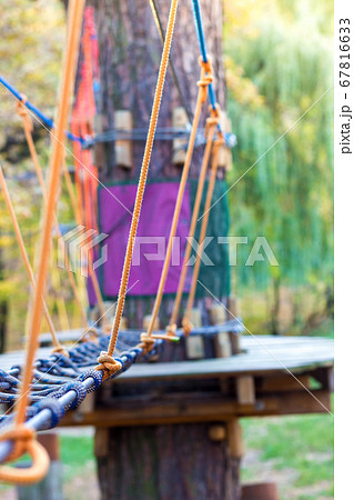 Wooden suspension bridges on a pine tree between trees. Attraction in an amusement park. 67816633